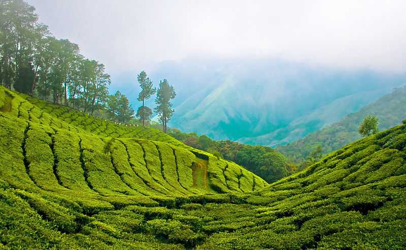 Mystical Kerala Backwaters