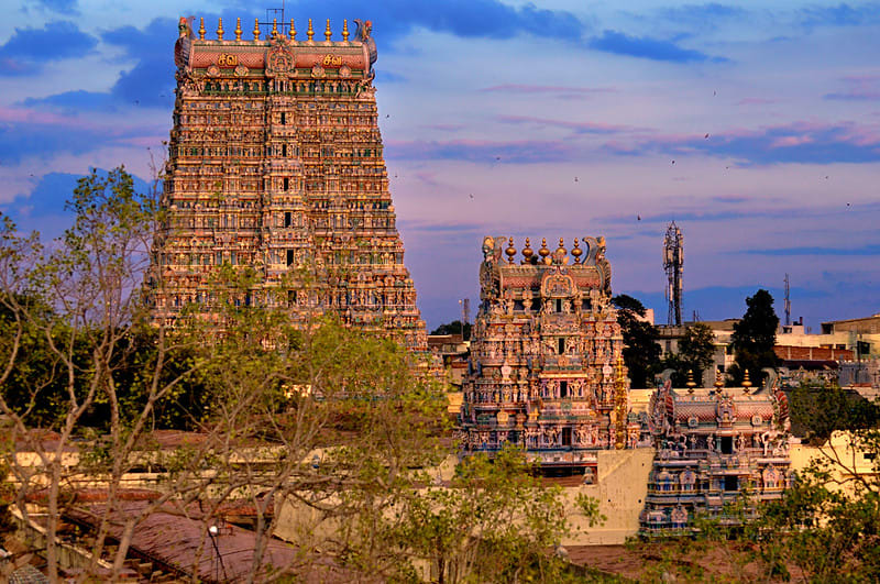 Cultural Tour of Tamil Nadu Temples