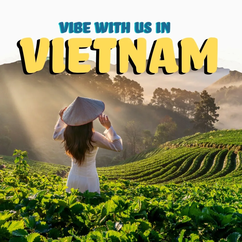 Vietnam Vibes: Culture, Caves & Culinary Delights