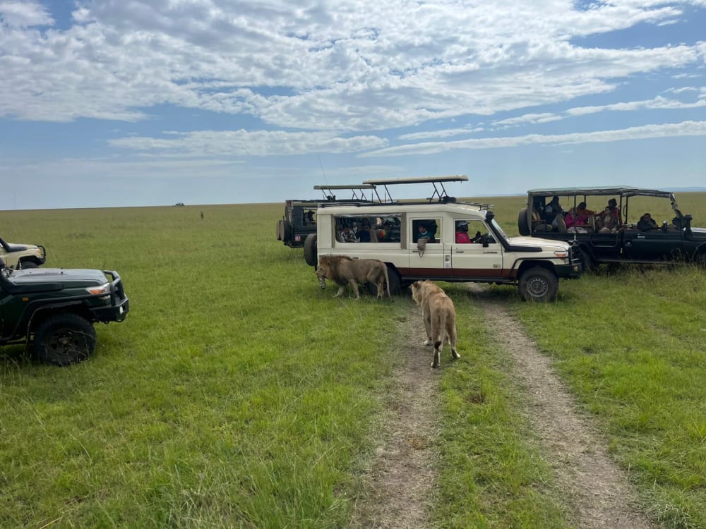 KENYA SAFARI