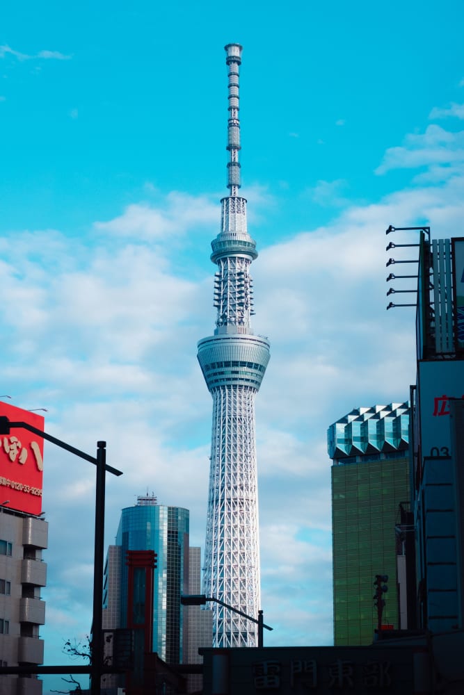 Japan in Full Bloom