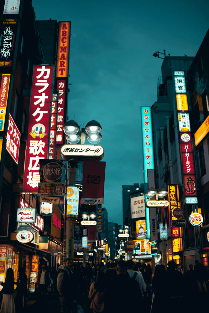 Japan in Full Bloom