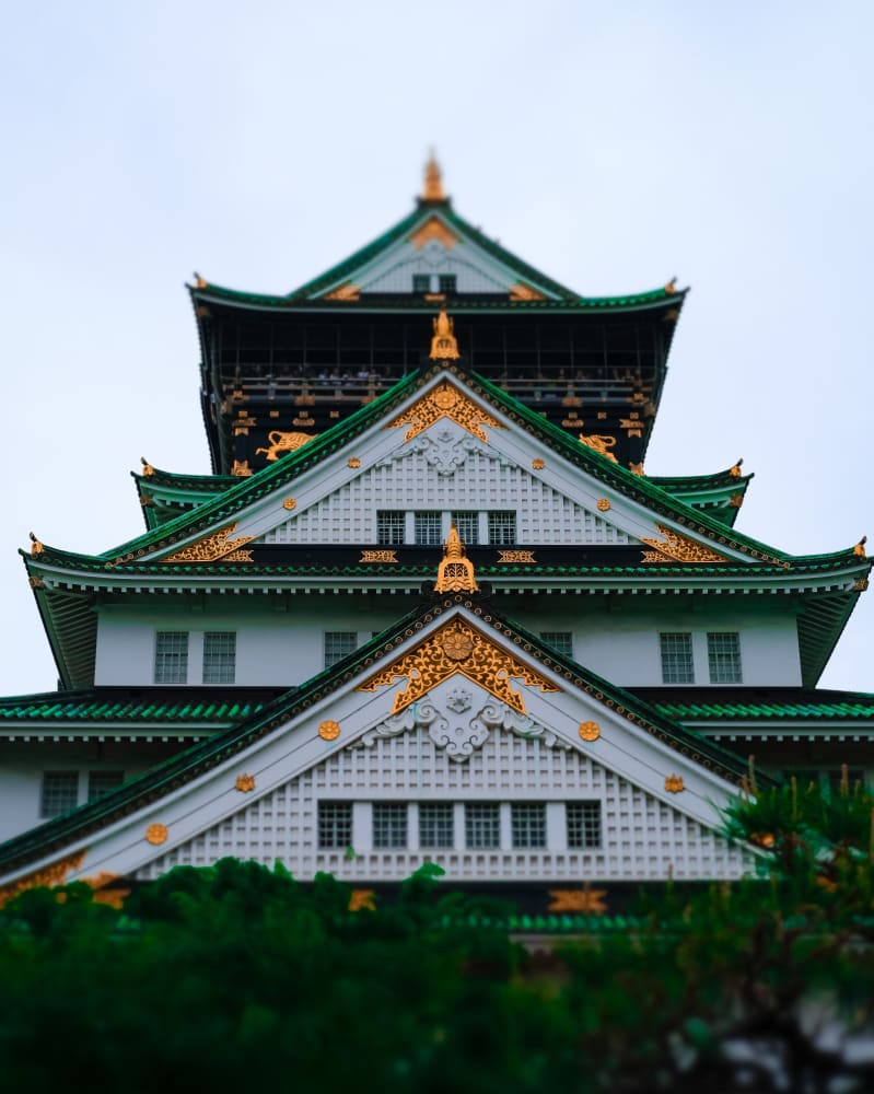 Japan in Full Bloom