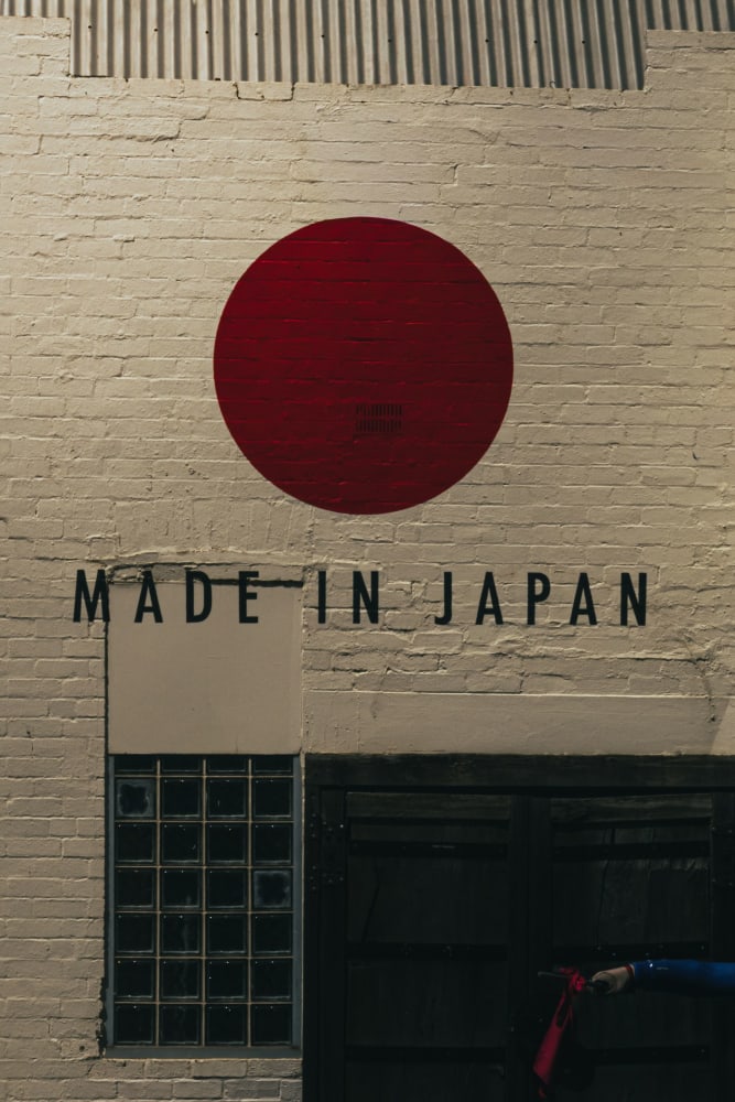Japan in Full Bloom