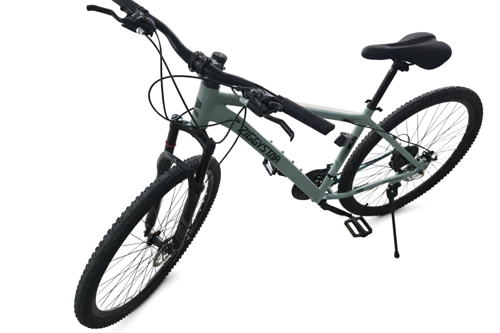 Bicicleta MTB Rodado 29 Aluminio ZiggyStar (21v, Shimano, Frenos a Disco)