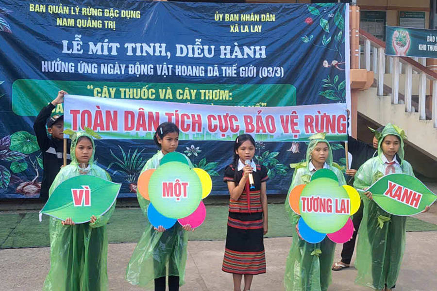 Đẩy mạnh tuyên truyền bảo vệ rừng, bảo tồn đa dạng sinh học trong thế hệ trẻ - Ảnh: L.A