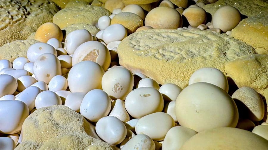Những viên ngọc động tuyệt đẹp trong hang Thắng - Ảnh: T.Đ