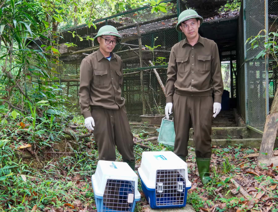 Công tác cứu hộ, bảo tồn động vật hoang dã luôn có sự đồng hành của cộng đồng doanh nghiệp - Ảnh: N.H
