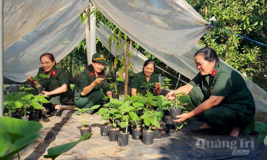 Phong trào nữ CCB hỗ trợ nhau phát triển kinh tế tại Hội CCB phường Đồng Sơn - Ảnh: T.L