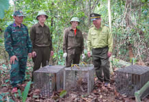 Giải cứu 13 thú rừng: Về tự nhiên, tìm lại tự do Thả 13 cá thể động vật hoang dã về môi trường tự nhiên