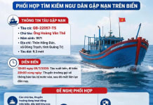 Nỗ lực tìm kiếm tàu cá cùng 2 ngư dân mất liên lạc trên biển