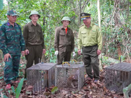 Giải cứu 13 thú rừng: Về tự nhiên, tìm lại tự do Thả 13 cá thể động vật hoang dã về môi trường tự nhiên