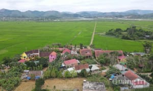 'Níu chân' du khách mùa thấp điểm