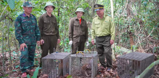 Giải cứu 13 thú rừng: Về tự nhiên, tìm lại tự do Thả 13 cá thể động vật hoang dã về môi trường tự nhiên