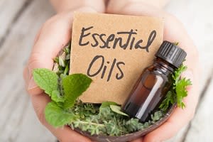 Natural cosmetics, men's grooming drives Caribbean essential oil