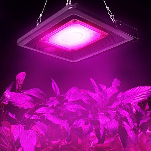 Vue 6 de Relassy Lampe Horticole