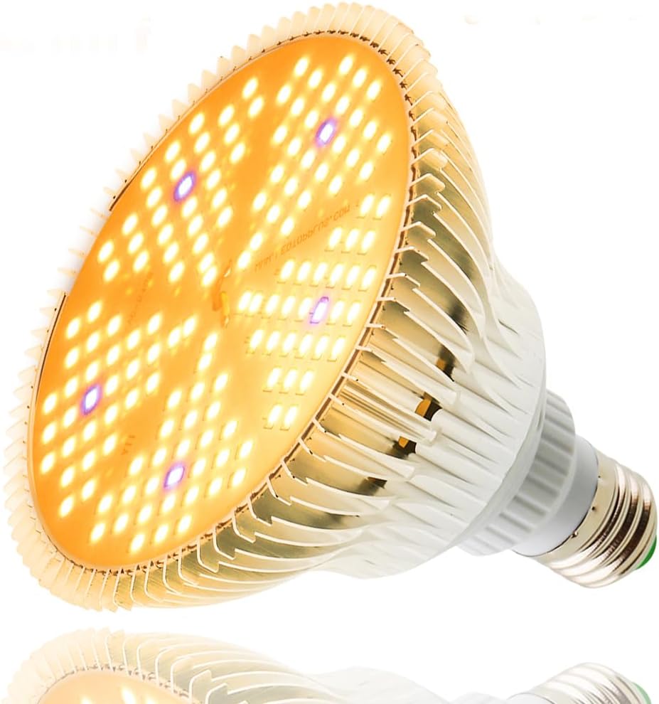 Lumiere Vegetale Led