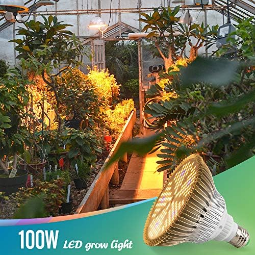 Vue 3 de Lumiere Vegetale Led