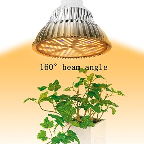 Vue 4 de Lumiere Vegetale Led