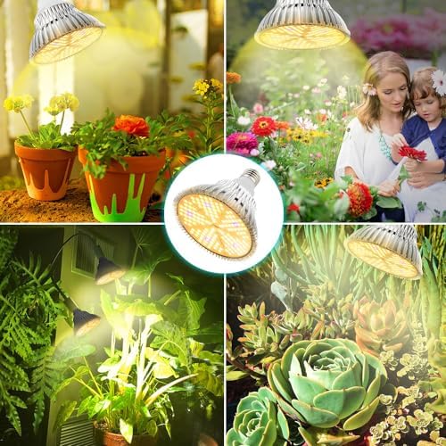 Vue 6 de Lumiere Vegetale Led