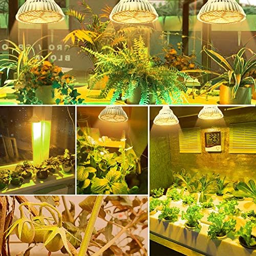 Vue 7 de Lumiere Vegetale Led