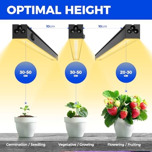 Vue 2 de Barrina Lampe Plante