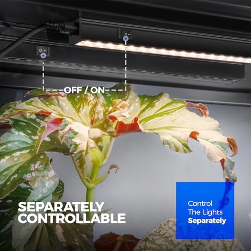 Vue 5 de Barrina Lampe Plante