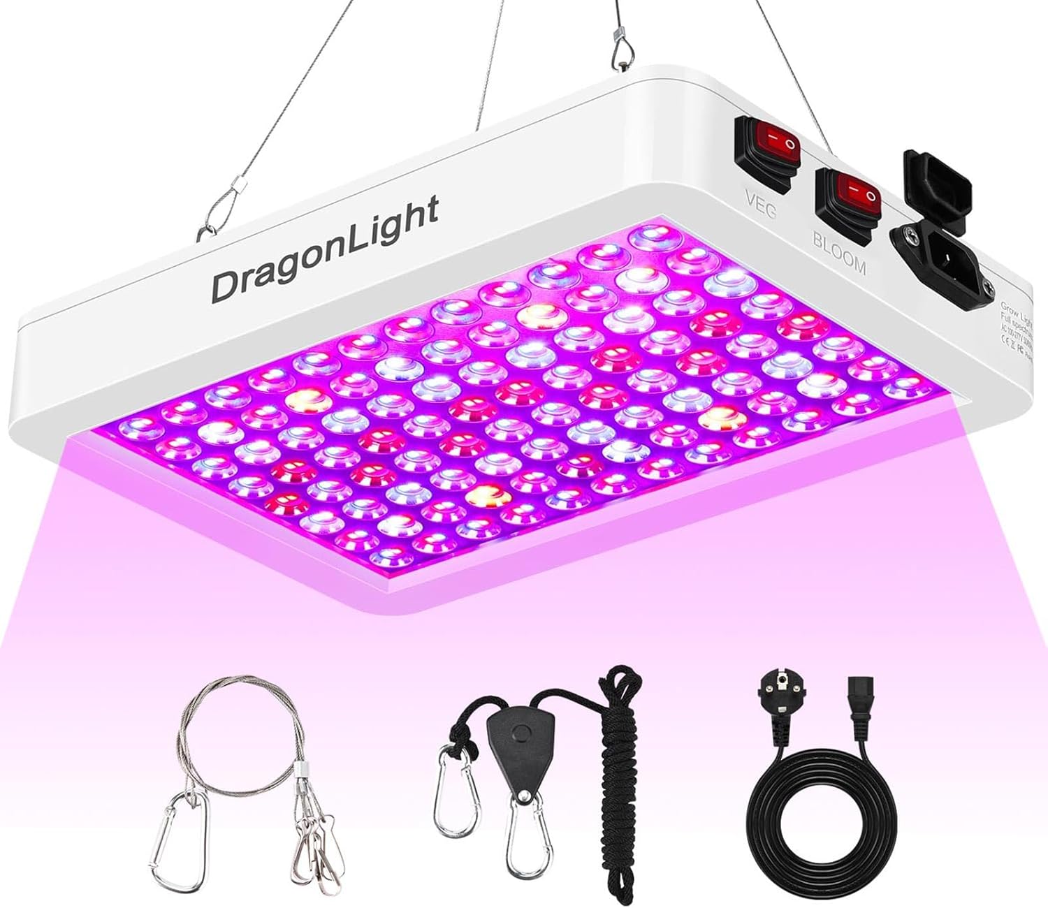 Dragonlight Lampe De Culture