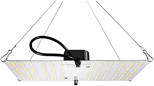 Vue 6 de Horticulture Lighting Group Panneau