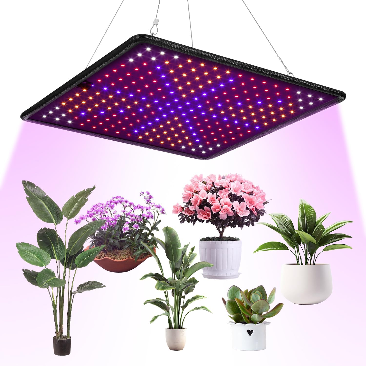 Lampe Led Horticole Croissance