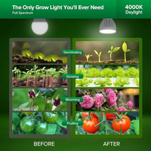 Vue 2 de Sansi Lampe Hortciole Led