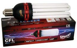 New Ampoule Cfl Superplant