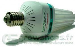 Vue 4 de New Ampoule Cfl Superplant