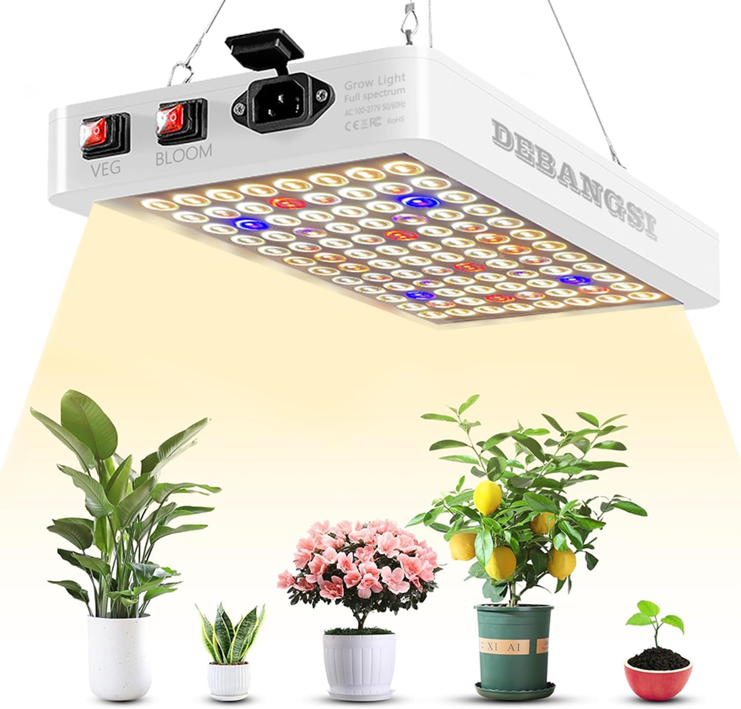 Lampe De Culture Led
