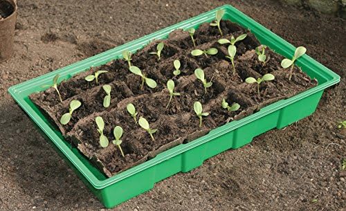 Vue 2 de Biotop Pack Plateaux