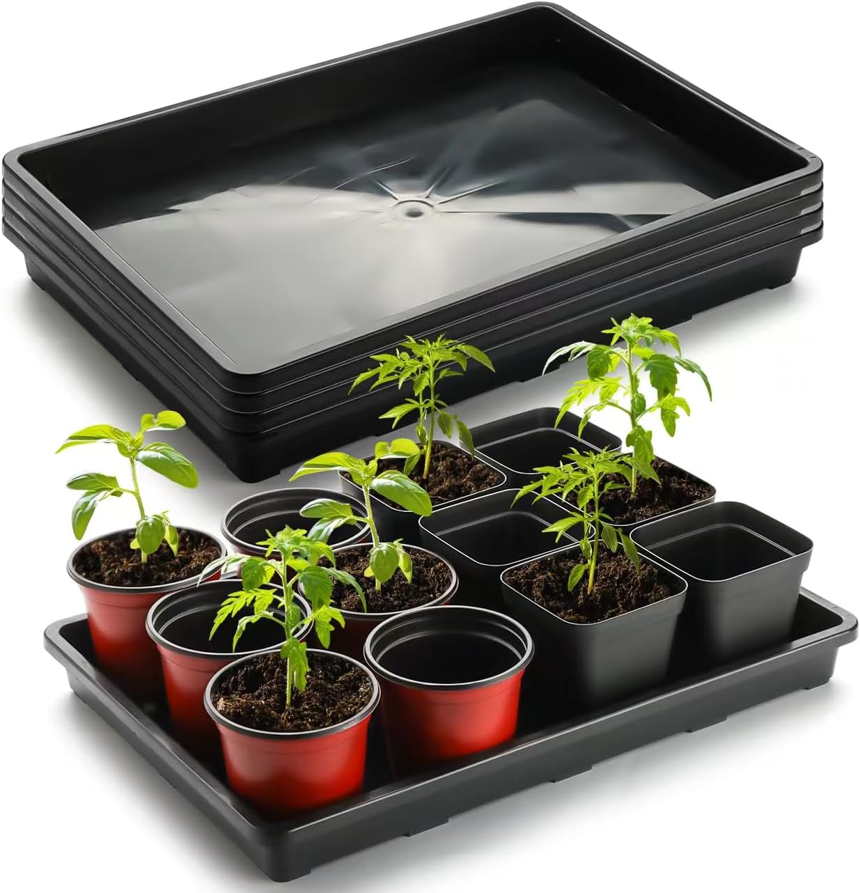 Rootrimmer Lot De Plateaux