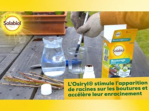 Vue 6 de Solabiol Bouturage Osiryl Ml