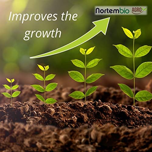 Vue 5 de Nortembio Agro Melasse De