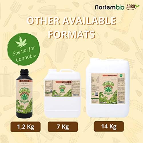 Vue 6 de Nortembio Agro Melasse De