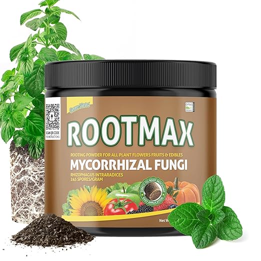 Rootmax Champignons Mycorhiziens