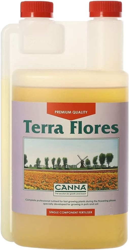 Canna Terra Flores