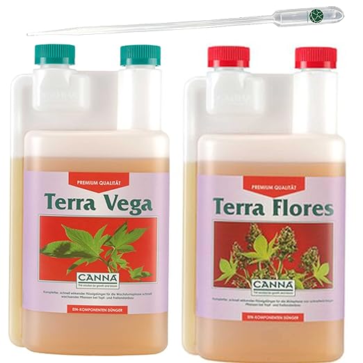 Ivorysgarden Canna Terra Vega