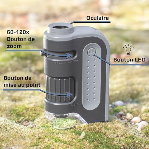 Vue 3 de Carson Microbrite Plus