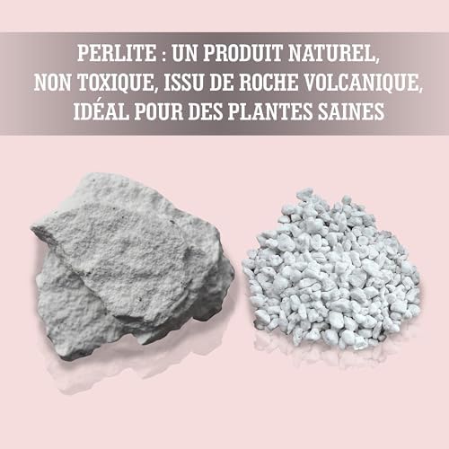 Vue 2 de Lerava Perlite Pour Plante