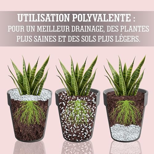 Vue 3 de Lerava Perlite Pour Plante