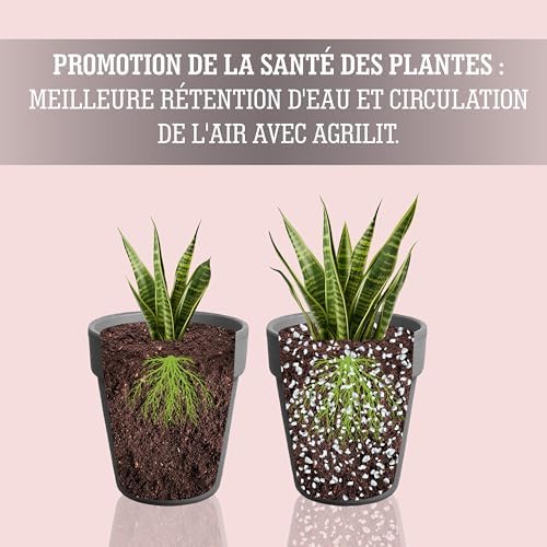 Vue 4 de Lerava Perlite Pour Plante