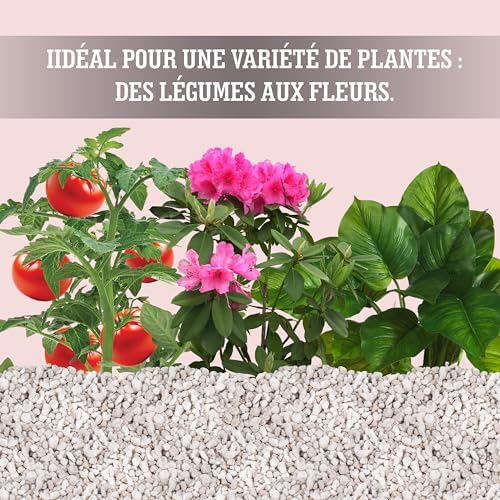 Vue 6 de Lerava Perlite Pour Plante