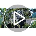 Vue 7 de Vounot Lot De Sac