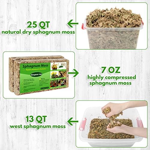 Vue 2 de Sphagnum Moss Et