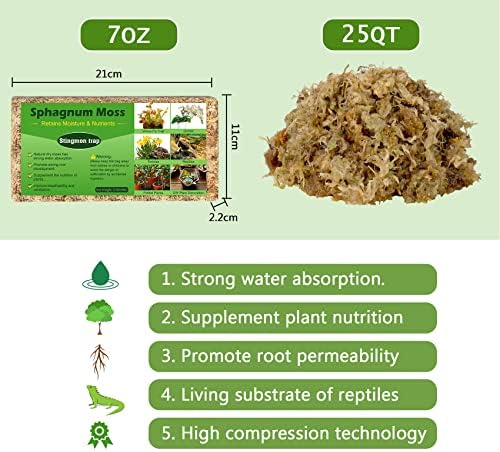 Vue 3 de Sphagnum Moss Et
